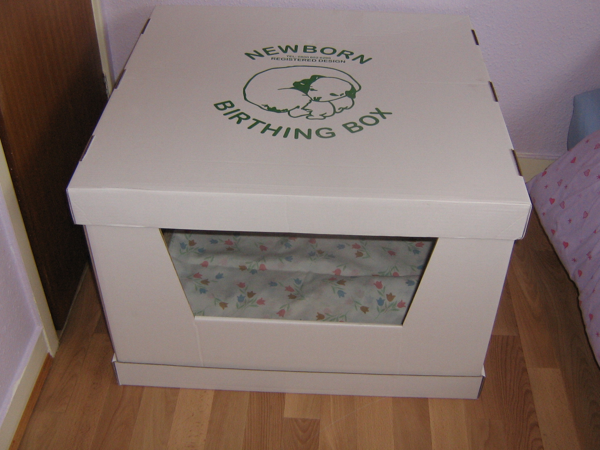 Kittening Box